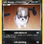 psycopuppy@hotmail.com