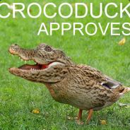 RC | Crocoduck