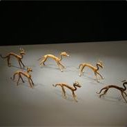 囍♥如果坑，请深坑！