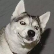 又要到饭了兄弟们