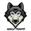 WOLFTEAMS_Ivan-Gamer