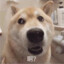 阝東