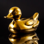 SashDucks