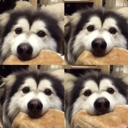 Big Avatar