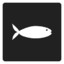 FishWithoutFeet