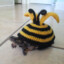 Beeturtle