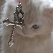 gyro