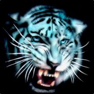Tigercat - steam id 76561197961863008