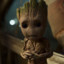 Groot Chikito