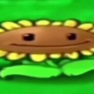 flawer