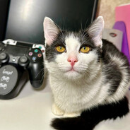 ᠌ ᠌᠌ ᠌ ᠌ ᠌ ᠌ ᠌