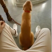 校花的贴身高手