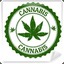 CANNABİS