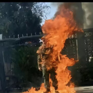 亚伦·布什内尔