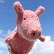 抱歉，是我冲动了