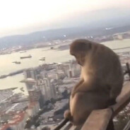 артемій - steam id 76561198970074794