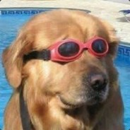 rarted