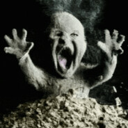 Cremated fetus