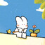 “Day丶Lucky”