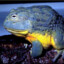 BlueToad