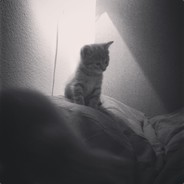 LionNez - steam id 76561197967983770