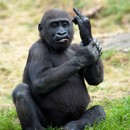 kramer - steam id 76561198060266845