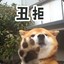 Wuli宝哥