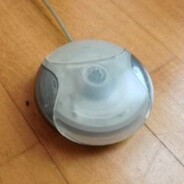 freepoohshiesty pinenut