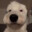 Brian Griffin