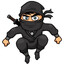 I&#039;M A NINJA
