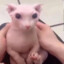 ElDoubleV