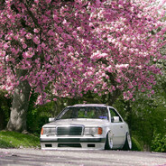 xXx_69DieselBlossom96_xXx - steam id 76561197960682933