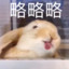 東皋薄暮望