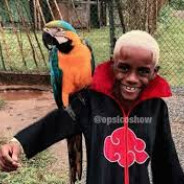 ESTRUPILSOM NEGRILSOM