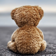 Teddy