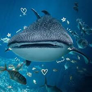 TheBiggerFish16