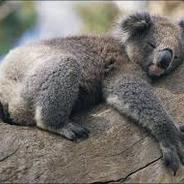 A!kumaN  hellcase.com