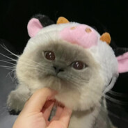 Chumster