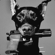 LeRoy - steam id 76561197964398669