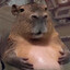 Cappy The Hutt