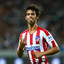 The Jota Destroyer