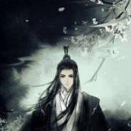 自折木剑出江湖，我以手足换手足。