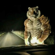 держи сиги заебал