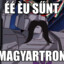 magyartron