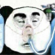 Dying Chinese Panda