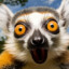 titaniclemur2023