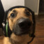 ZEnkRO