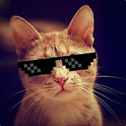 Бешеный котяра