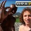 brazzers