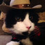 happycat16